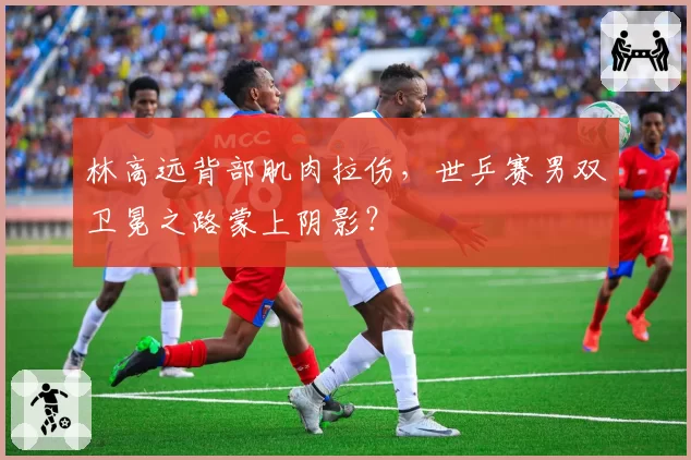 林高远背部肌肉拉伤,世乒赛男双卫冕之路蒙上阴影?