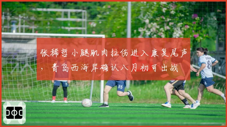 张稀哲小腿肌肉拉伤进入康复尾声，青岛西海岸确认八月初可出战