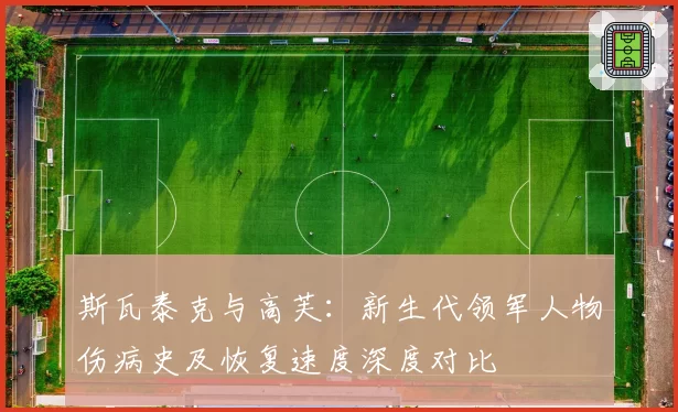 斯瓦泰克与高芙:新生代领军人物伤病史及恢复速度深度对比