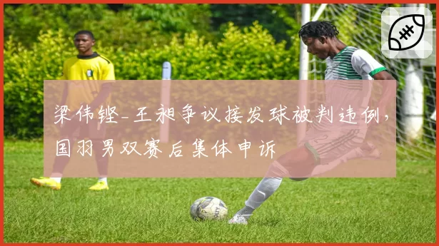 梁伟铿_王昶争议接发球被判违例，国羽男双赛后集体申诉