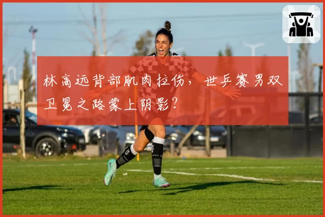 林高远背部肌肉拉伤,世乒赛男双卫冕之路蒙上阴影?