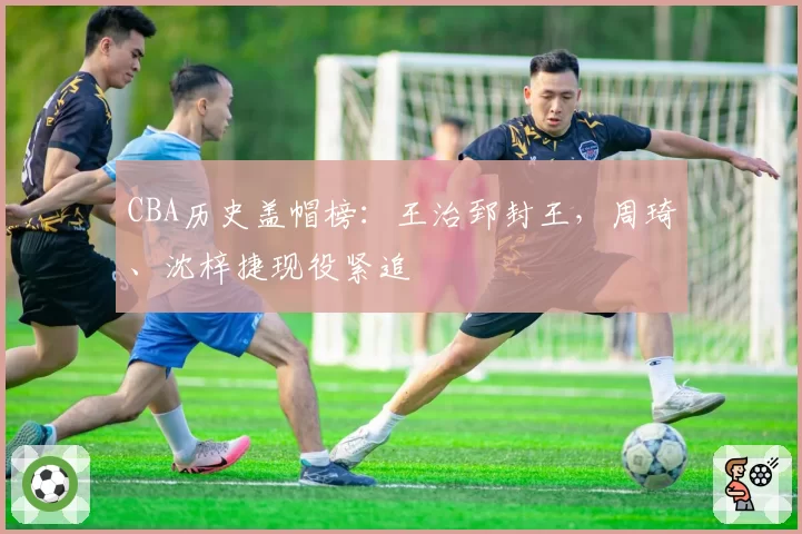 CBA历史盖帽榜：王治郅封王，周琦、沈梓捷现役紧追