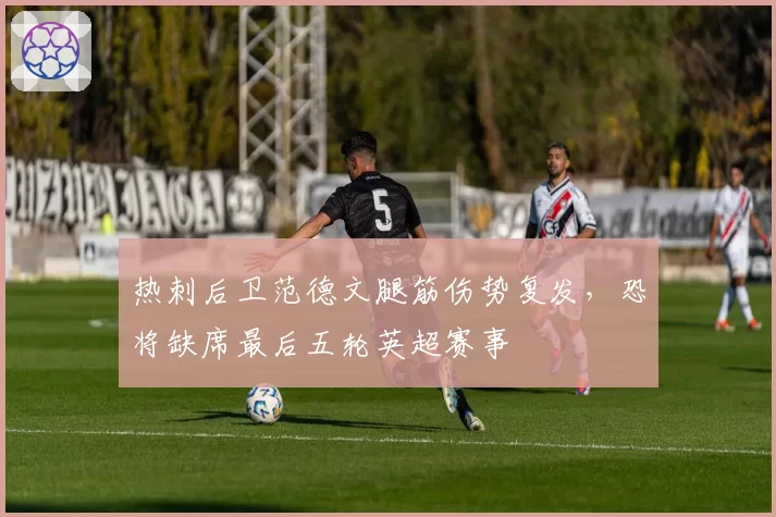 热刺后卫范德文腿筋伤势复发，恐将缺席最后五轮英超赛事