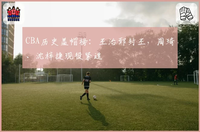 CBA历史盖帽榜：王治郅封王，周琦、沈梓捷现役紧追